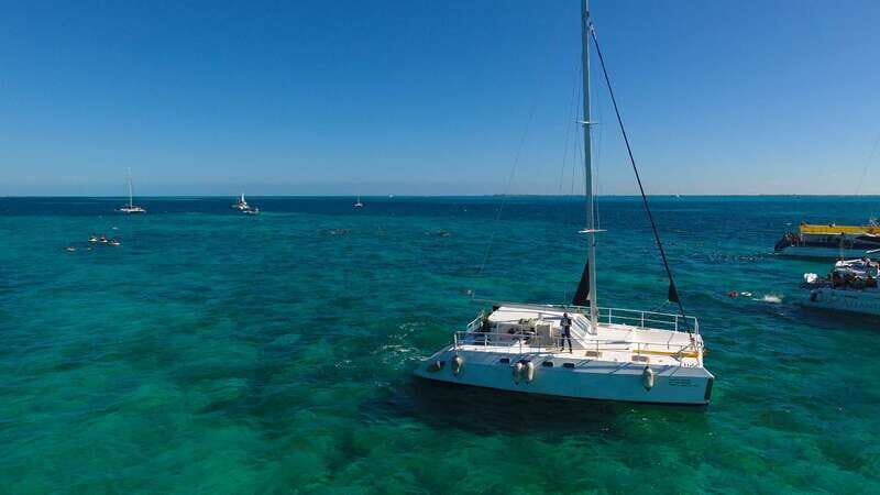 Cancun: Isla Mujeres Catamaran with buffet lunch & open bar - Dolphin Discovery Time: Swimming and How It Fits the Day