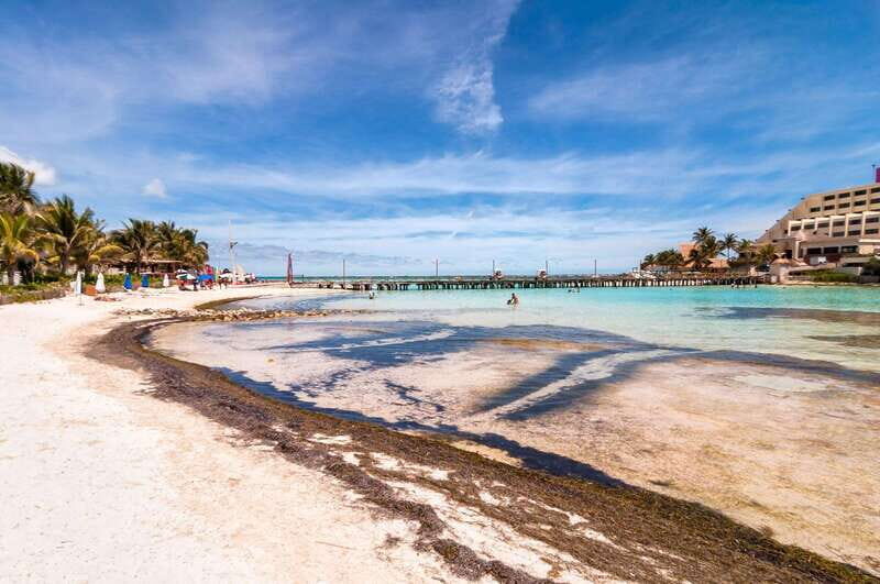 Cancun: Isla Mujeres Premium Catamaran Half-Day Tour - Who should book this catamaran tour (and who should skip)