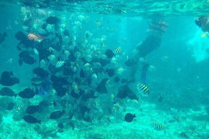 Cancun Jetski and Snorkel Adventure - The 2-hour plan: mangroves, then the sea, then a snorkeling window