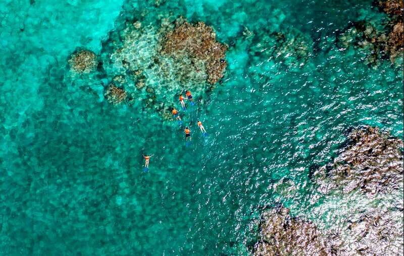 Cancun: Jungle Tour Adventure with Speedboat and Snorkeling. - Check-In, Gear, and What You’ll Do Before You Go
