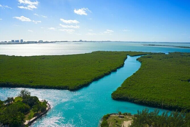 Cancun Jungle Tour with Speedboat and Snorkeling - Why this 2-hour jungle + reef combo fits real Cancun days