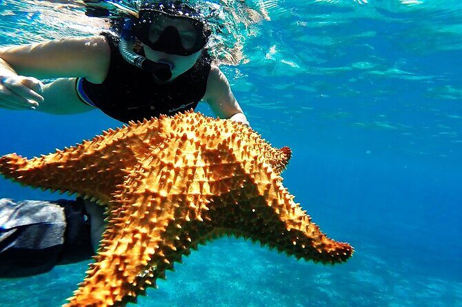 Cancun Jungle Tour with Speedboat and Snorkeling - Price and value: $59 is a good base, but budget for check-in fees