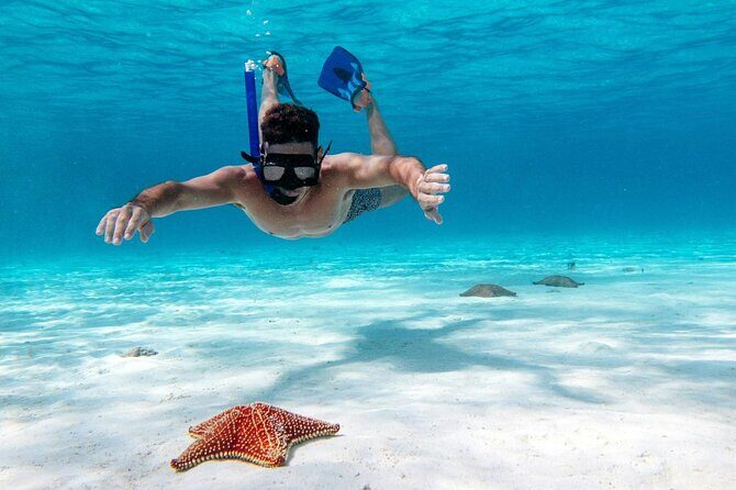 Cancun Jungle Tour with Speedboat and Snorkeling - What’s included (and what you should bring anyway)