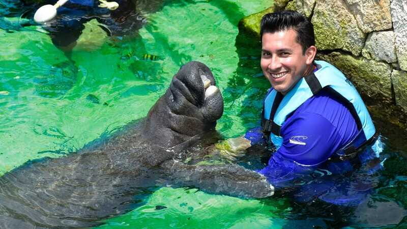 Cancún: Manatee Encounter on Isla Mujeres with Buffet Lunch - Buffet lunch and pool time: why this part makes the ticket feel complete