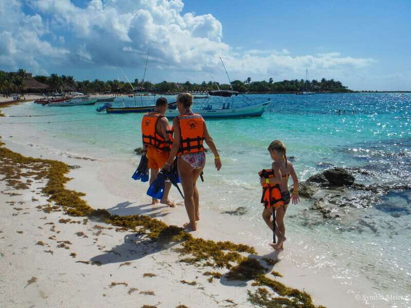 Cancun: Marine Turtle Observation in Akumal - Price and logistics: what you pay, what you don’t, and what it really means