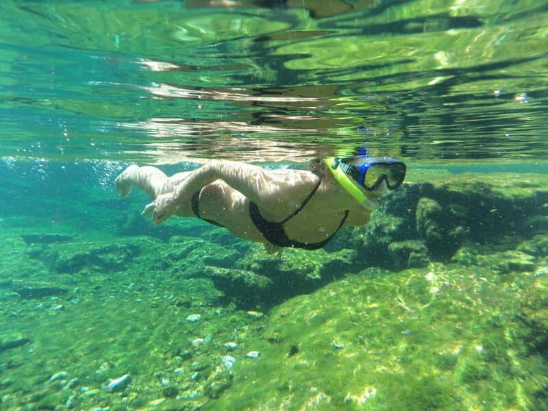 Cancun: Marine Turtle Observation in Akumal - Who this tour suits (and who should think twice)