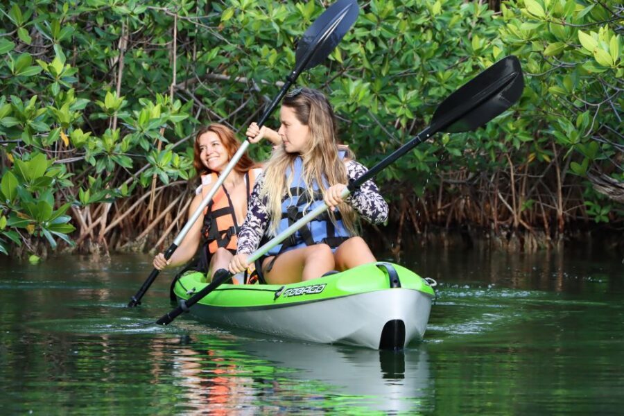 Cancun: Morning Kayak Adventure - Second 45 minutes: more channels, more chances for wildlife
