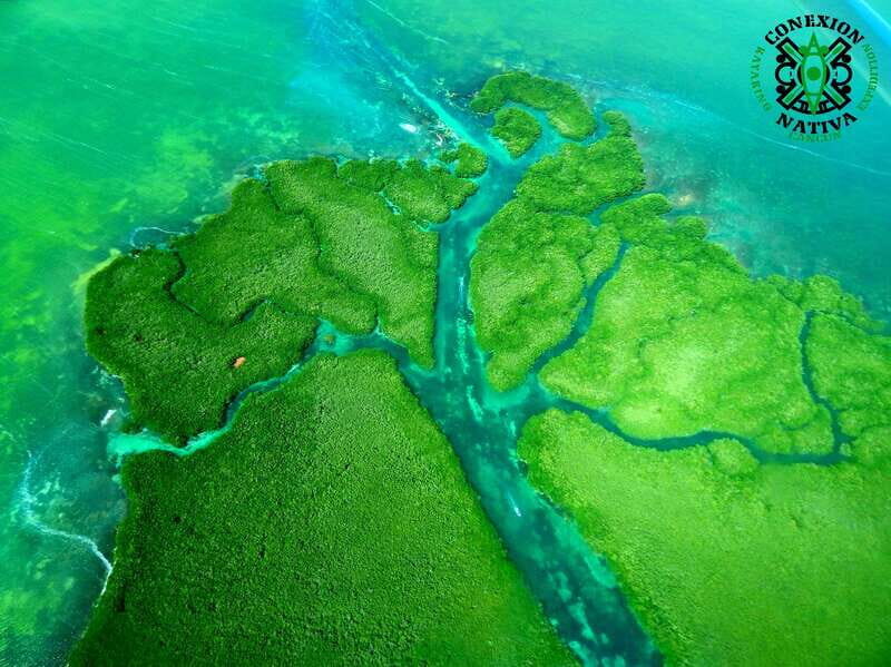 Cancún: Morning or Sunset Kayak Adventure in Nichupte Lagoon - First kayak stretch: learning the lagoon up close