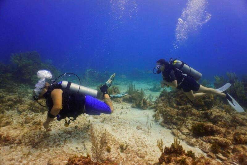 Cancun: MUSA Diving for certified divers morning dive trip - Key Things I’d Focus on Before You Go