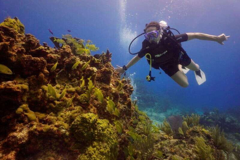 Cancun: MUSA Diving for certified divers morning dive trip - MUSA in Isla Mujeres: what you’re really paying for
