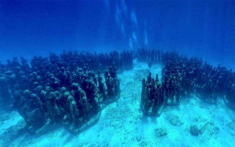 Cancun: MUSA Diving for certified divers morning dive trip - Two underwater sessions: how MUSA and the reefs tend to work