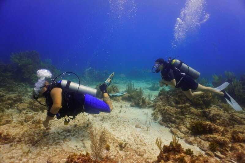 Cancun: MUSA Diving for certified divers morning dive trip - Equipment and comfort: what’s included, what’s not