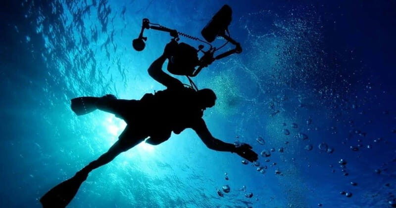 Cancun: MUSA Diving for certified divers morning dive trip - From Cancun hotel-zone pickup to the water: the timing reality