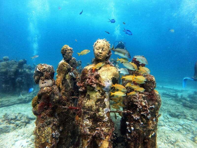 Cancun: Musa Underwater Museum & Reef Discover Scuba Diving - Aquafun Marina: Easy Meeting Point, Real-World Logistics