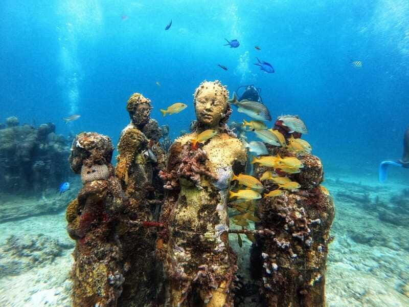 Cancun: Musa Underwater Museum & Reef Discover Scuba Diving - Weather, Sea Conditions, and the Real World in Cancun