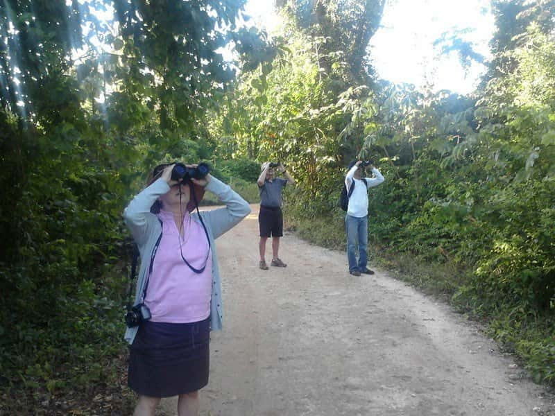 Cancun: Private Birdwatching Tour - The 9:30 snack stop: fuel without losing your morning