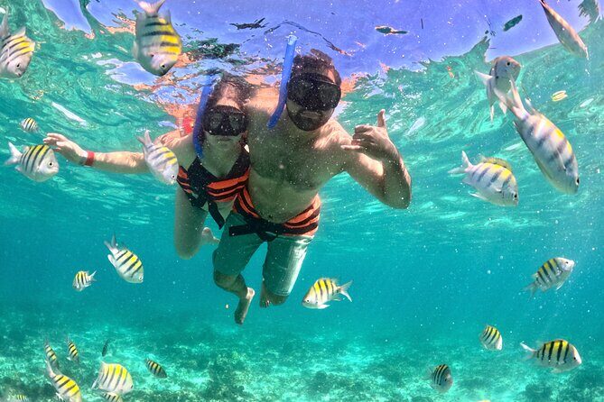 Cancun Private Catamaran Cruise– Open Bar & Snorkeling Experience - Cruising along Cancun: relaxation, photos, and open-water time