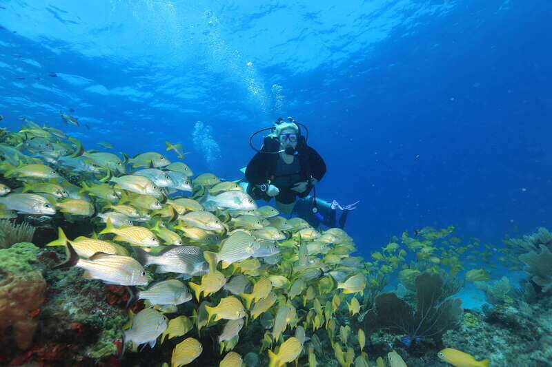 Cancun: Scuba Diving for Beginners, 2 Dives - Why Cancun’s beginner SCUBA setup feels low-pressure