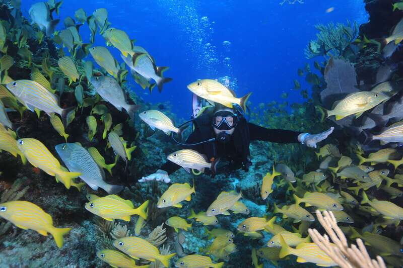 Cancun: Scuba Diving for Certified Divers, 3 options to dive - What the two tank schedule looks like in real time