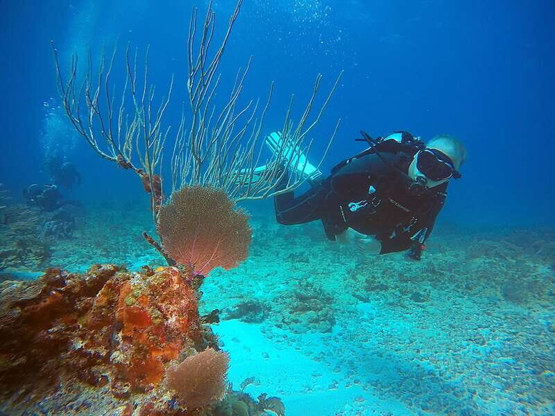 Cancun: Scuba Diving for Certified Divers, 3 options to dive - Meeting point in Cancun: where to go so you don’t waste time