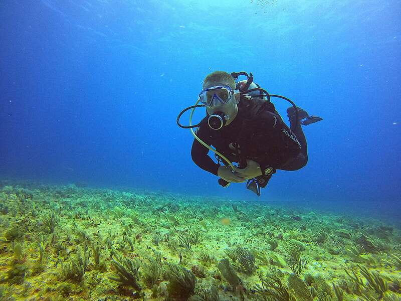 Cancun: Scuba Diving for Certified Divers, 3 options to dive - Choosing MUSA, Punta Cancun, or C-58/C-55 wrecks (how to pick fast)