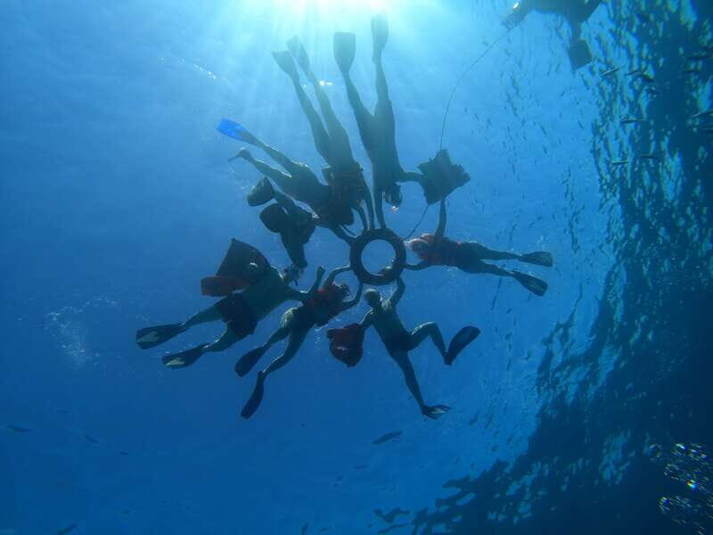 Cancun: Snorkel in MUSA Undewater Museum and Reef - MUSA Underwater Museum: Why This Snorkel Feels Different