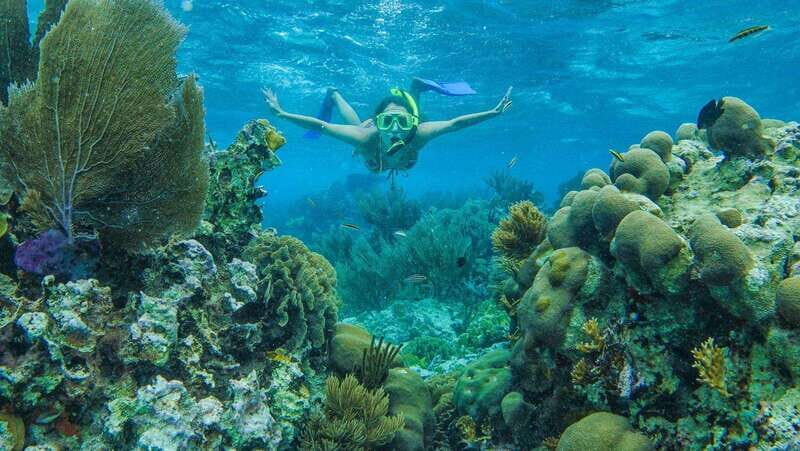 Cancun: Snorkel in MUSA Undewater Museum and Reef - What’s Provided (and What You Must Bring) for a Smooth Snorkel