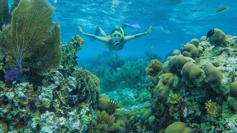 Cancun: Snorkel in MUSA Undewater Museum and Reef - Guides, Group Size, and the Real Safety Stuff