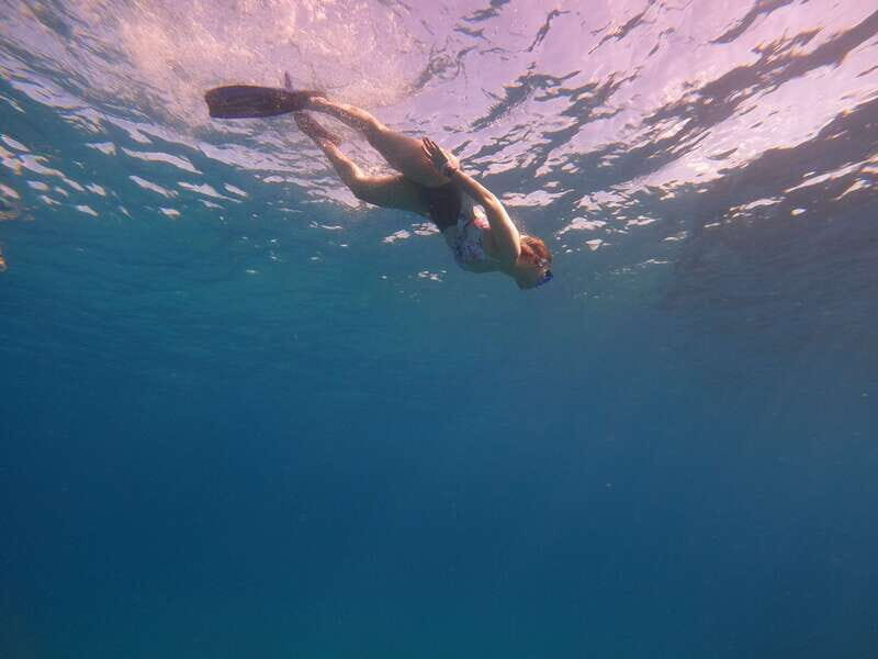Cancun: Snorkel in MUSA Undewater Museum and Reef - Two Water Sessions in About 2 Hours: Museum Spot Plus Reef Time