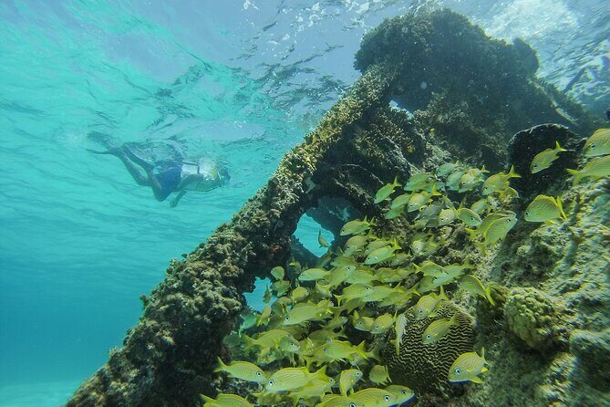 Cancun Snorkeling Adventure: Underwater Museum, Reef & Shipwreck - Safety that’s not just talk: gear, lockers, and fast extraction