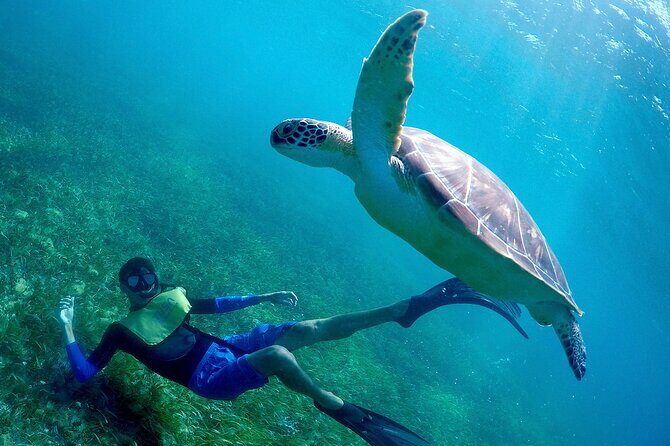 Cancun Snorkeling Adventure: Underwater Museum, Reef & Shipwreck - How long it takes and what the day feels like from start to finish