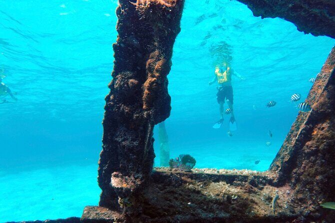 Cancun Snorkeling Adventure: Underwater Museum, Reef & Shipwreck - Price value check: $79 plus the MUSA $20 fee