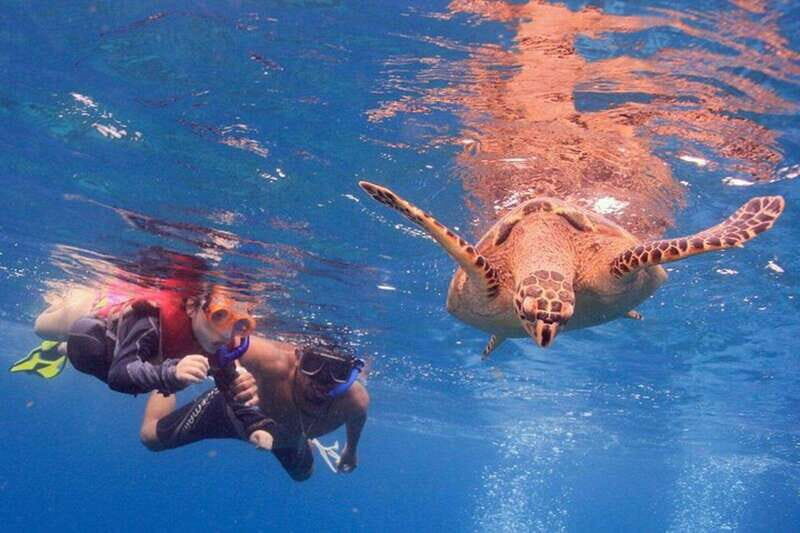 Cancun: Snorkeling at Underwater Museum & Manchones Reef - Key Points to Know Before You Go