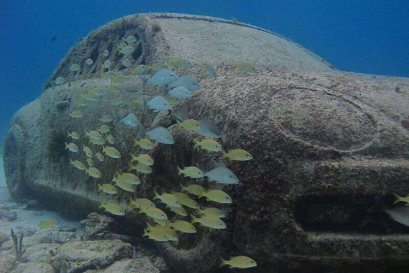 Cancun: Snorkeling at Underwater Museum & Manchones Reef - Price Breakdown: Is $59 Good Value?