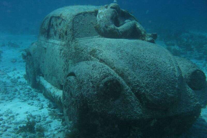 Cancun: Snorkeling at Underwater Museum & Manchones Reef - Snorkeling Level and Safety: Who Should Book (and Who Should Ask Questions)