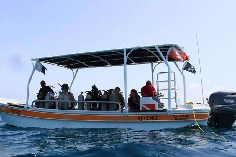 Cancun: Snorkeling at Underwater Museum & Manchones Reef - MUSA Underwater Museum of Art: How the Sculptures Change Snorkeling