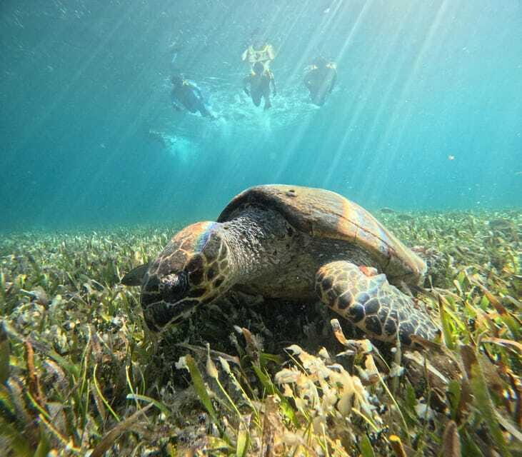Cancun: Snorkeling Boat Tour with Gear - Safety and comfort: the one thing to think through