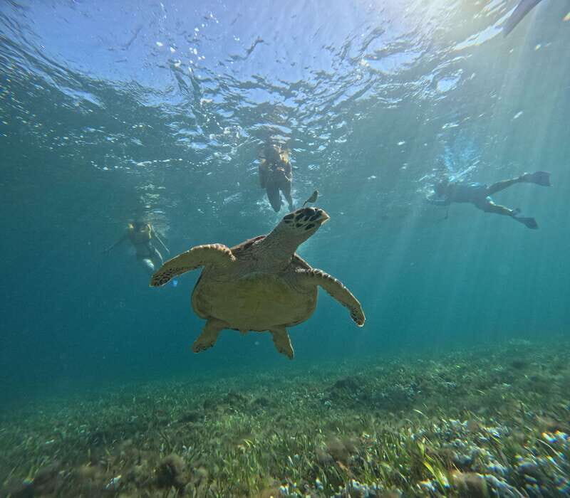 Cancun: Snorkeling Boat Tour with Gear - Before you even hit the water: the briefing that matters