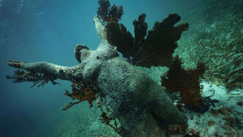 Cancun: Snorkeling Tour at MUSA The Underwater Museum - Who this snorkeling tour fits best (and who should skip it)