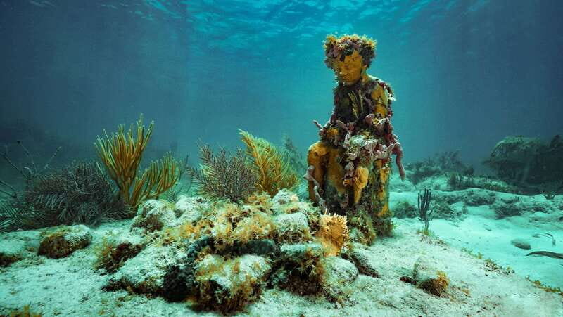 Cancun: Snorkeling Tour at MUSA The Underwater Museum - The MUSA stop: 400+ sculptures where coral does the storytelling