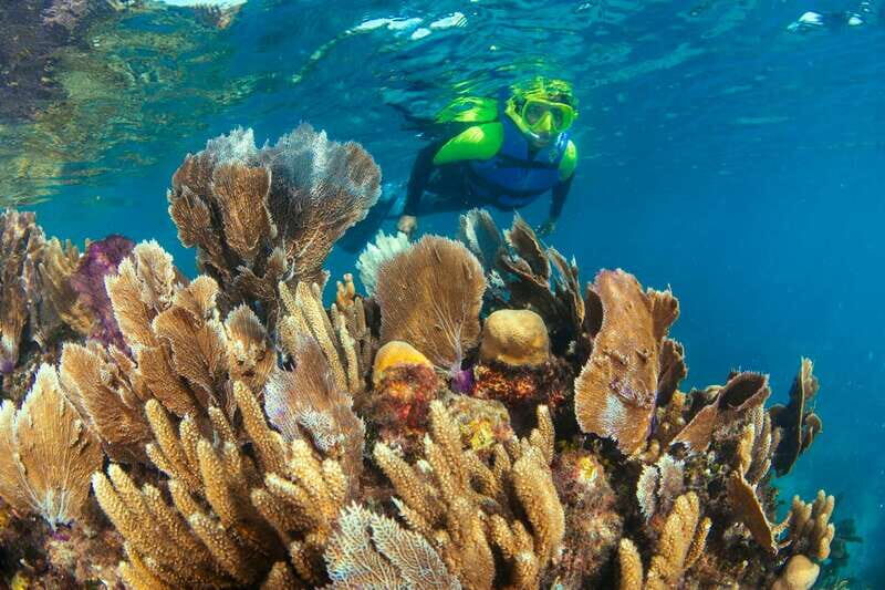 Cancun: Snorkeling Tour at MUSA The Underwater Museum - What to bring (so you don’t end up rushing purchases)
