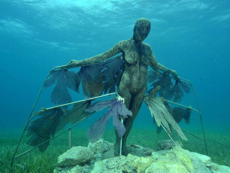 Cancun: Snorkeling Tour at MUSA The Underwater Museum - Price and value: what $58 really means on this tour