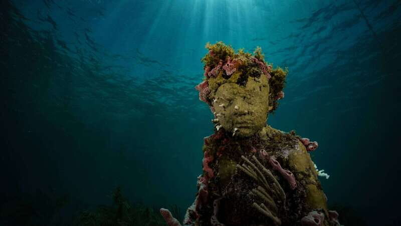 Cancun: Snorkeling Tour at MUSA The Underwater Museum - From Aquaworld to Isla Mujeres Bay: how the day actually starts