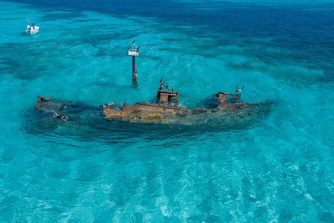 Cancun Snorkeling Tour: Swim with Turtles, Reef, Underwater Museum and Shipwreck - Gear, weights, and the rescue plan if you feel off