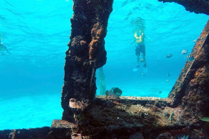 Cancun Snorkeling Tour: Swim with Turtles, Reef, Underwater Museum and Shipwreck - What to wear and do so you enjoy the water more