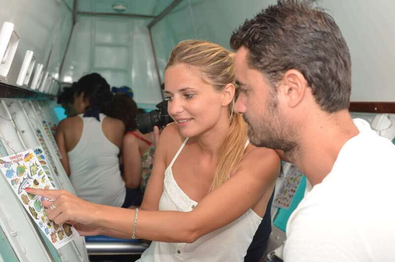 Cancun: Subsee Explorer Ride - What the bilingual guide really adds