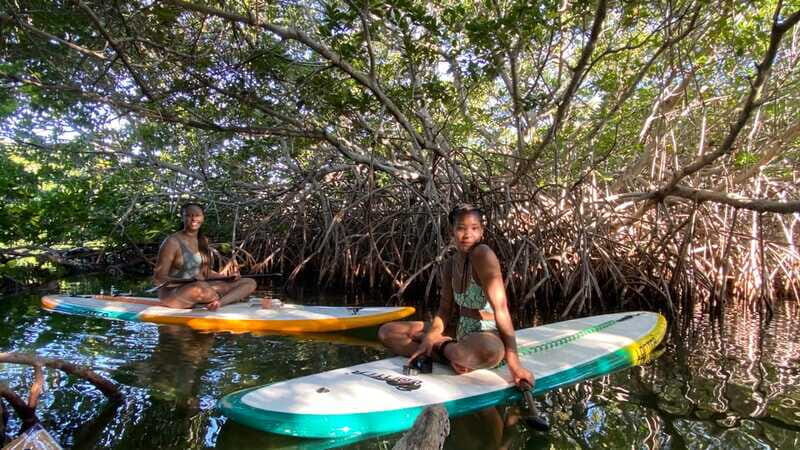 Cancun: Sunrise/Sunset Stand-Up Paddleboarding Tour - Nichupté Lagoon Nature Lesson: Birds and Lagoon Life From Your Guide
