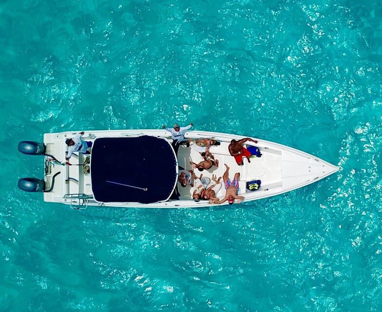 Cancún: Swim with Whale Sharks & Playa Norte Beach - Key highlights to know before you go