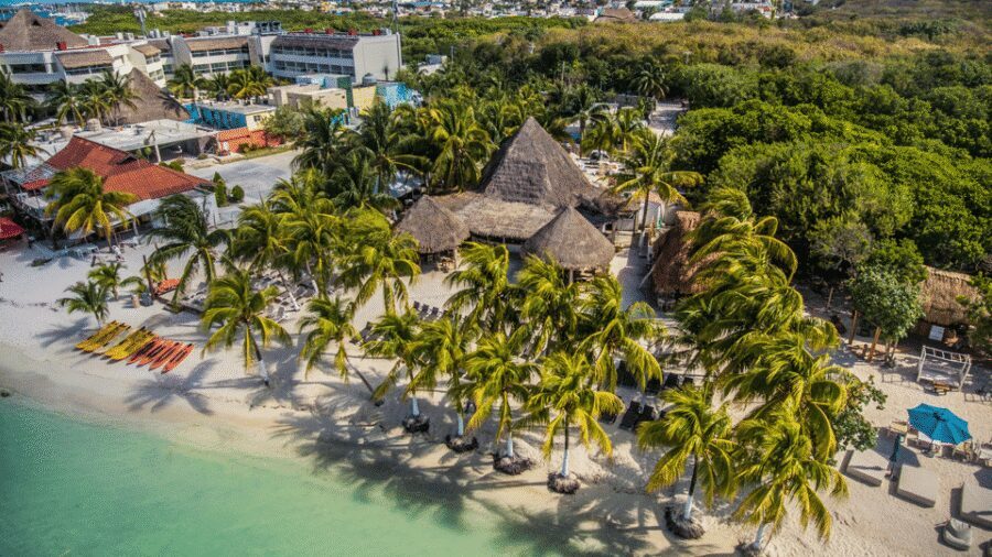 Cancún: Swim with Whale Sharks & Playa Norte Beach - From Cancun Marina to Contoy Island: why this trip works