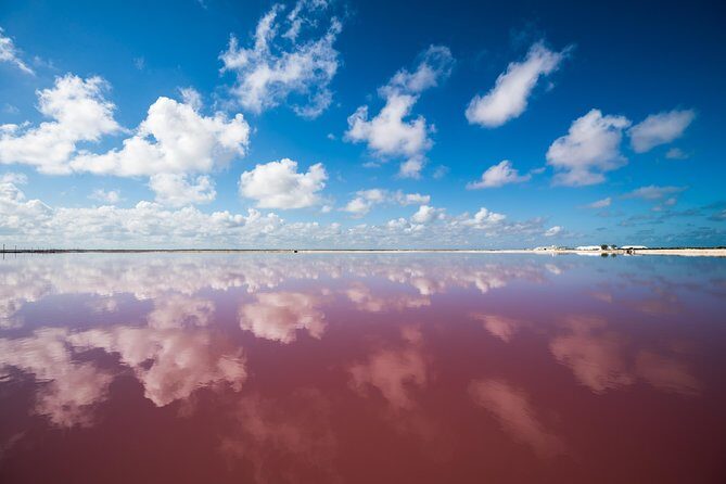 Cancun tour Las Coloradas Pink Lagoon + Rio Lagartos Tour - The Road Trip Feel: Bus Comfort, Wi-Fi, and Small-Group Reality